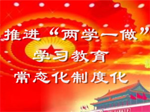 推进“两学一做”学习教育常态化制度化