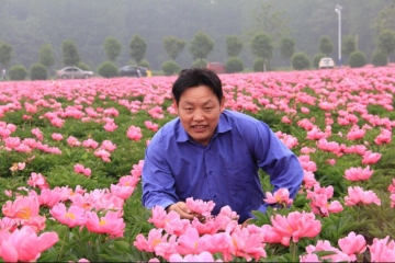 戴明亮副教授简介