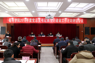 大奖娱乐官网网站召开2018年度党总支...